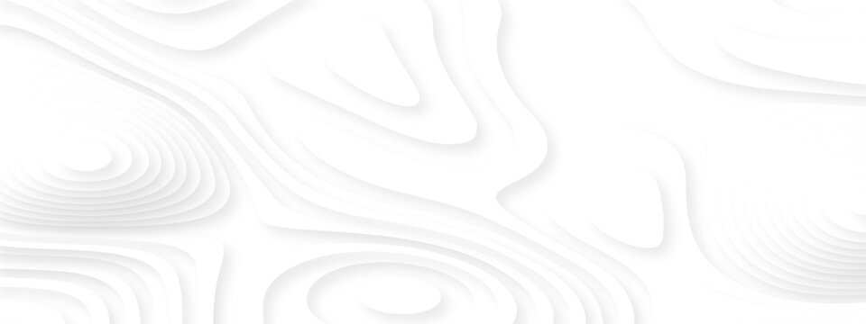 white topography map geography relief diagram texture design. Topography white background and black line world map texture design. Lines Topographic contour lines grid map seamless pattern.