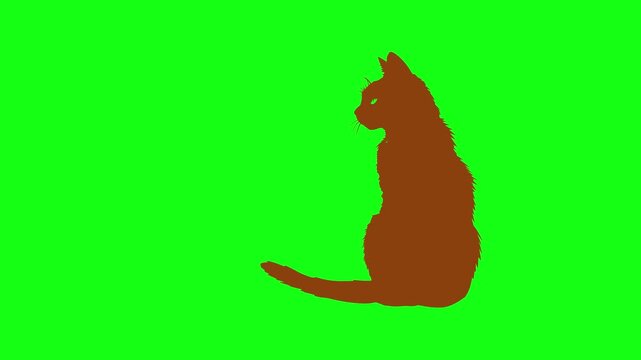 cat animated silhouette on green background 