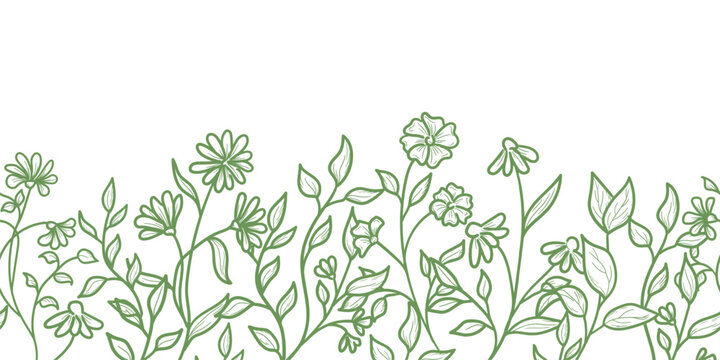 Spring flowers and twigs with leaves, seamless horizontal border. Vector illustration. The sketch of summer meadow flowers is hand-drawn, isolated on a white background
