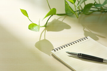 Fototapeta premium Close-up of a notebook, a blue pen, and green plants on a wooden desk, light and shadow, office supplies, copy space