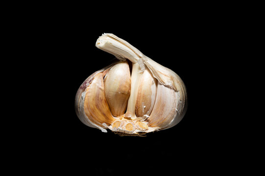 garlic isolated on black background