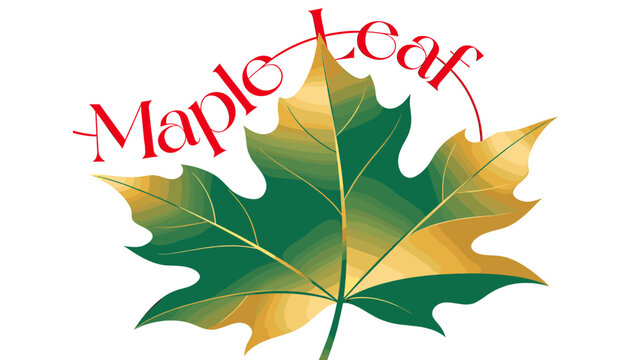 A stylized maple leaf logo with the words "Maple Leaf" curved above it, featuring a gradient from green to yellow.