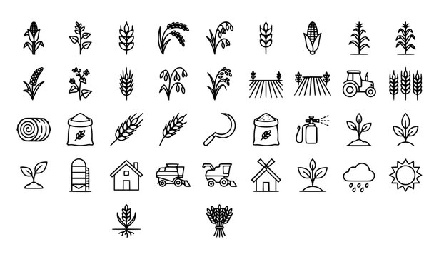 Cereals doodle 29 icon set with grain plants agriculture and editable stroke vector collection