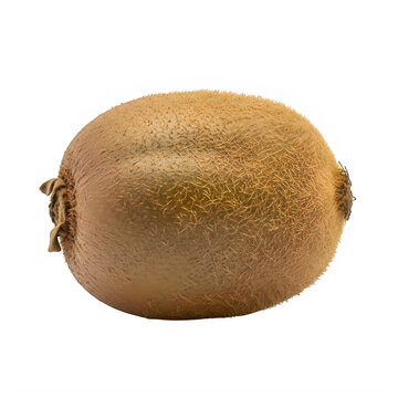 Whole kiwi fruit with brown fuzzy skin isolated on transparent background