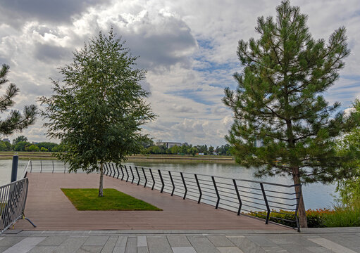 Tree Terrace Park at Sava River Embankment in Belgrade Serbia