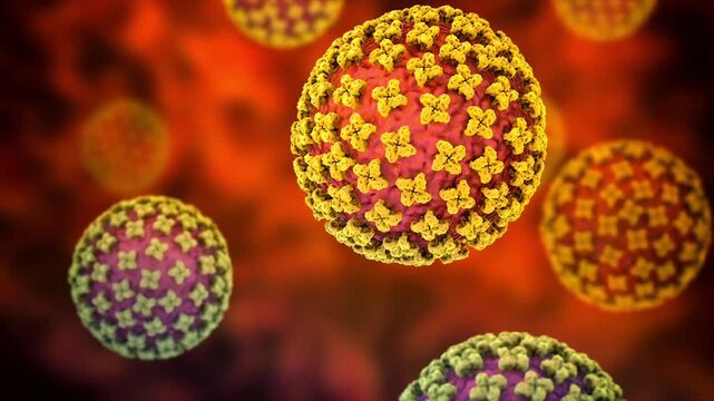 Hantavirus particles, 3D animation showing multiple virions slowly drifting, causative agents of hantavirus pulmonary syndrome and haemorrhagic fever with renal syndrome.