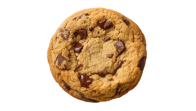 Isolated freshly baked round chocolate chip cookie, a sweet and delicious snack food