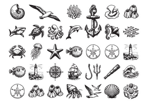 Underwater marine life set featuring tropical fish shark sea turtle octopus jellyfish starfish coral shell crab and sea creatures for ocean themed illustration.