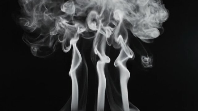 Cinematic slow motion of white smoke rising in intricate wispy tendrils and swirling plume patterns against a solid black background, abstract vapor motion for visual design and overlay.
