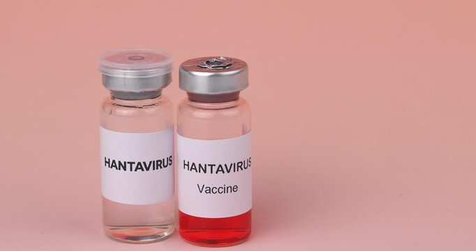 Research vials with Hantavirus and preventive vaccine on red gradient background illustrating biohazard risks and medical solutions.