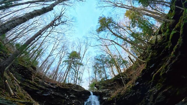 Low angle view of waterfall and forest canopy. Upward view of a waterfall flowing down rocky cliffs surrounded by forest trees under a light blue sky.