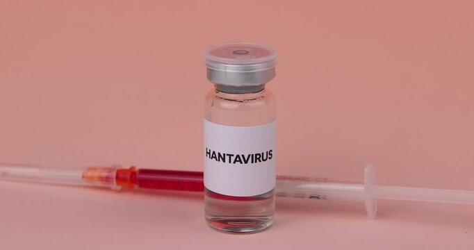 Medical vials containing Hantavirus and potential vaccine on a red gradient background representing laboratory research and safety.