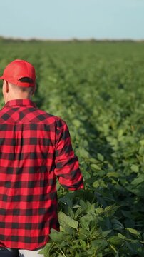 A man in a red plaid shirt walks through a green field of crops. The man appears focused on the rows of plants in the expansive agricultural landscape.