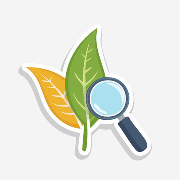 Magnifying Glass Over Leaves