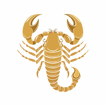 Golden Scorpion Illustration