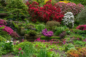 Fototapeta premium A beautiful spring garden in full bloom