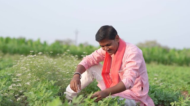 happy young indian farmer sitting at green agricultural field