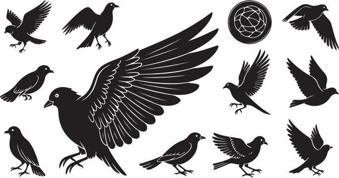 Raven and crow bird silhouette vector graphics set
