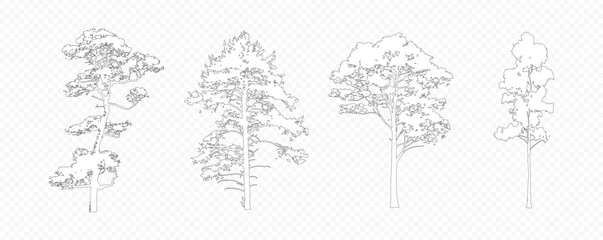 Fototapeta premium Architectural Drawings, Minimal style cad tree line drawing, Side view, set of section wetland forest outline for landscape design drawing. 
