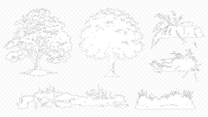 Architectural Drawings, Minimal style cad tree line drawing, Side view, set of section wetland forest outline for landscape design drawing.  © HALIMA