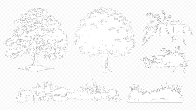 Architectural Drawings, Minimal style cad tree line drawing, Side view, set of section wetland forest outline for landscape design drawing. 