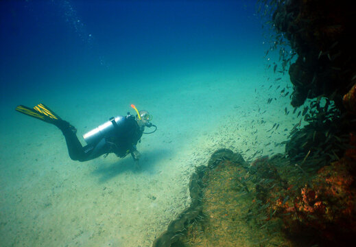 a diver in a beautiful coral reef