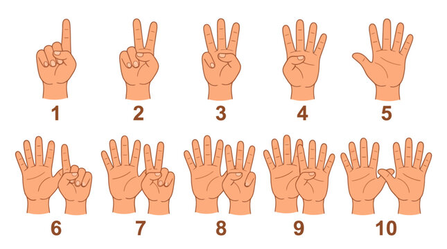 Illustration of hands displaying numbers one to ten with fingers