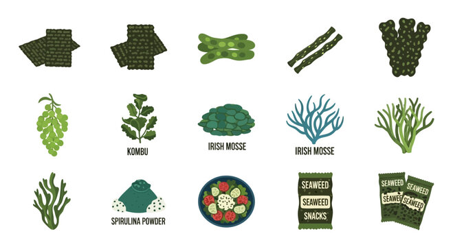Assortment of Seaweed Types and Products, Healthy Sea Vegetables Collection