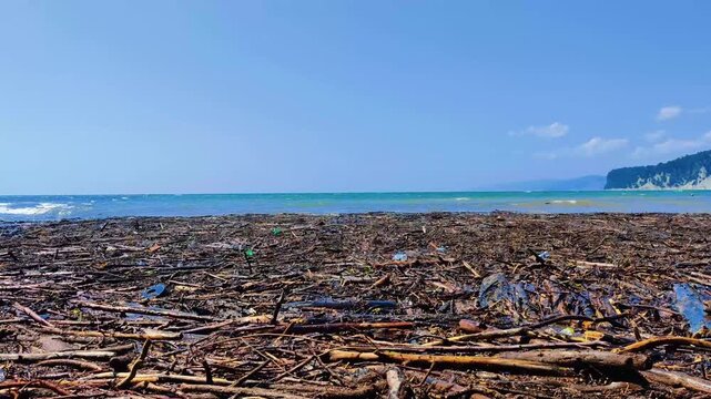 A dense accumulation of river debris and waste covering a sandy beach under a clear sky.