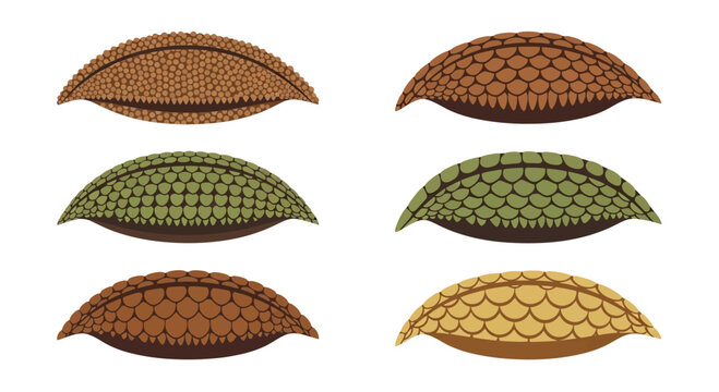 Set of stylized armadillo armor plates in various colors and textures