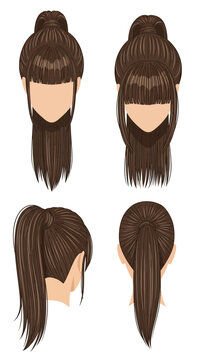 Woman's Hairstyle: Ponytail and Bun with Bangs - Front, Side, Back Views