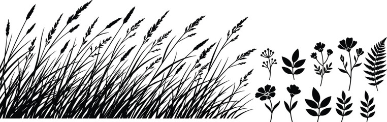 Black silhouette collection of meadow grass and wildflower botanical elements isolated on white background for nature themed designs. © MdNajmul