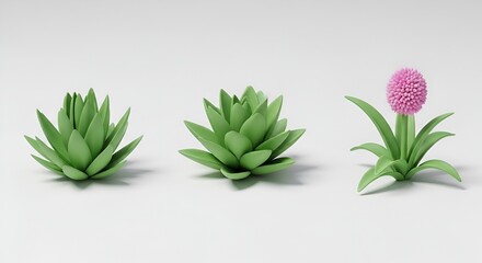 Fototapeta premium Three stages of plant growth: bud, leaves, flowering on a white background
