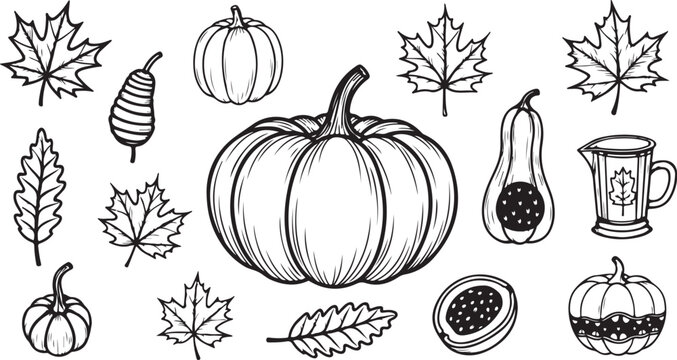 Autumn pumpkin and fall leaf harvest vector illustration