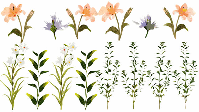 Collection of watercolor floral illustrations with lilies cornflowers and leafy green stems on a white background high quality