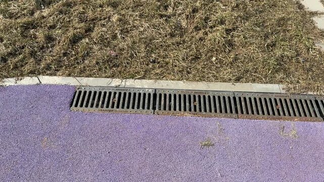 Drainage grate on purple sports turf iron plate with slotted holes set in concrete channel bordering rubber infill and leaf strewn