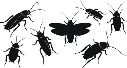 Black silhouettes of cockroaches in various positions highlighting insect anatomy and pest identification vector illustration © Sammi