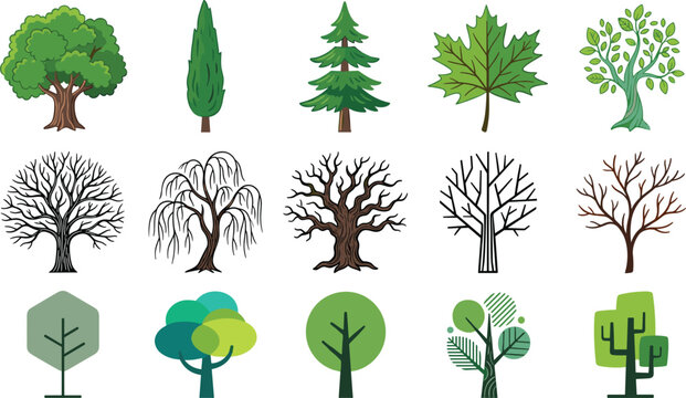 Stylized illustrations of diverse trees including realistic leafless and abstract modern designs in vector art collection