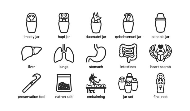Ancient egyptian canopic jar and organ icons on white background