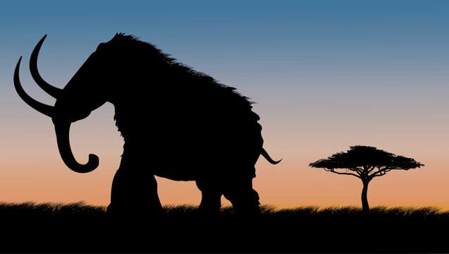 Mammoth on safari at sunset, color vector illustration