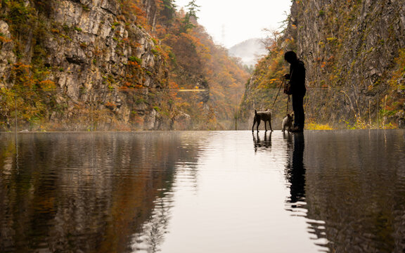 Silhouette of Person Walking Dogs Near Reflective Water in Autumn Mountain Canyon, Scenic Nature Landscape with Cliff Reflections and Misty Forest During Peaceful Outdoor Adventure Travel