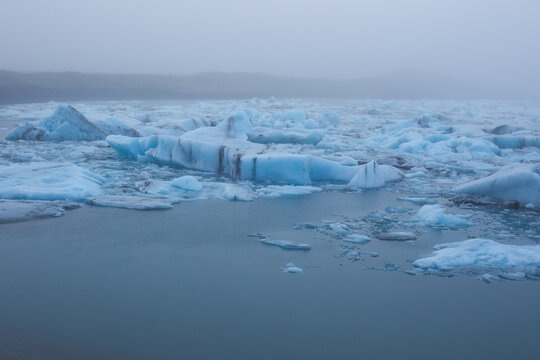 Blue icebergs floating in a misty glacial lagoon