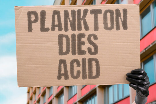 "Plankton Dies Acid" Ocean acidification reduces plankton populations that underpin all marine food chains. ACIDIFICATION. REDUCES. PLANKTON. UNDERPIN. CHAINS.