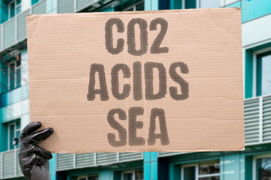 "CO2 Acids Sea" Dissolved CO2 directly acidifies ocean surface water. DISSOLVED. ATMOSPHERIC. ACIDIFIES. OCEAN. SURFACE.