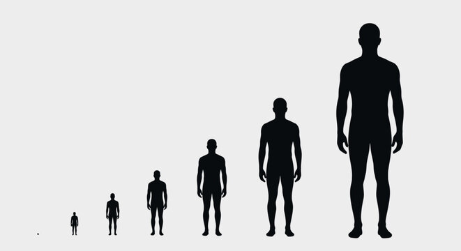 Silhouette scale comparison of human figures illustrating size, perspective, and proportion