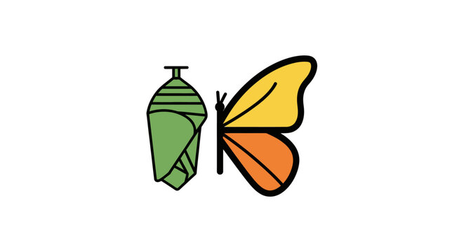 Illustration depicting the lifecycle of a butterfly: from chrysalis to winged insect