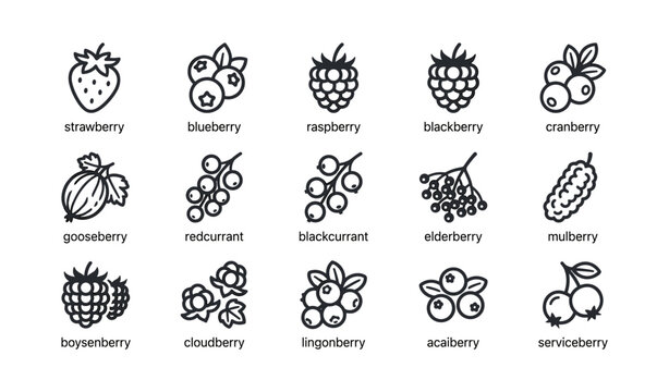 Berry icons grid showing various berry types and labels