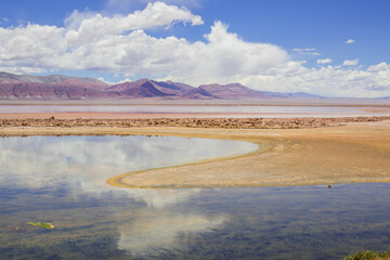 Laguna Carachi Pampa, Argentina © Stock Photos 2000