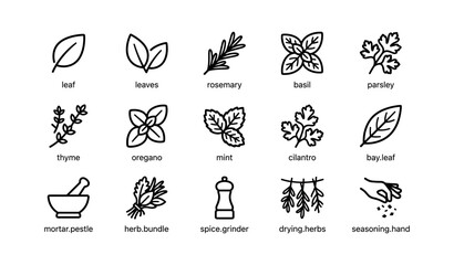 Fototapeta premium Herb and spice icons displayed on white background grid