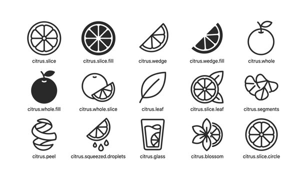 Citrus fruit icons showing slices wedges peel and glass items